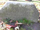 image of grave number 171411